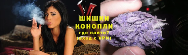 ГАЛЛЮЦИНОГЕННЫЕ ГРИБЫ Заводоуковск