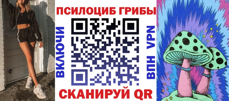 Купить где  Долинск  Галлюциногенные грибы мицелий 